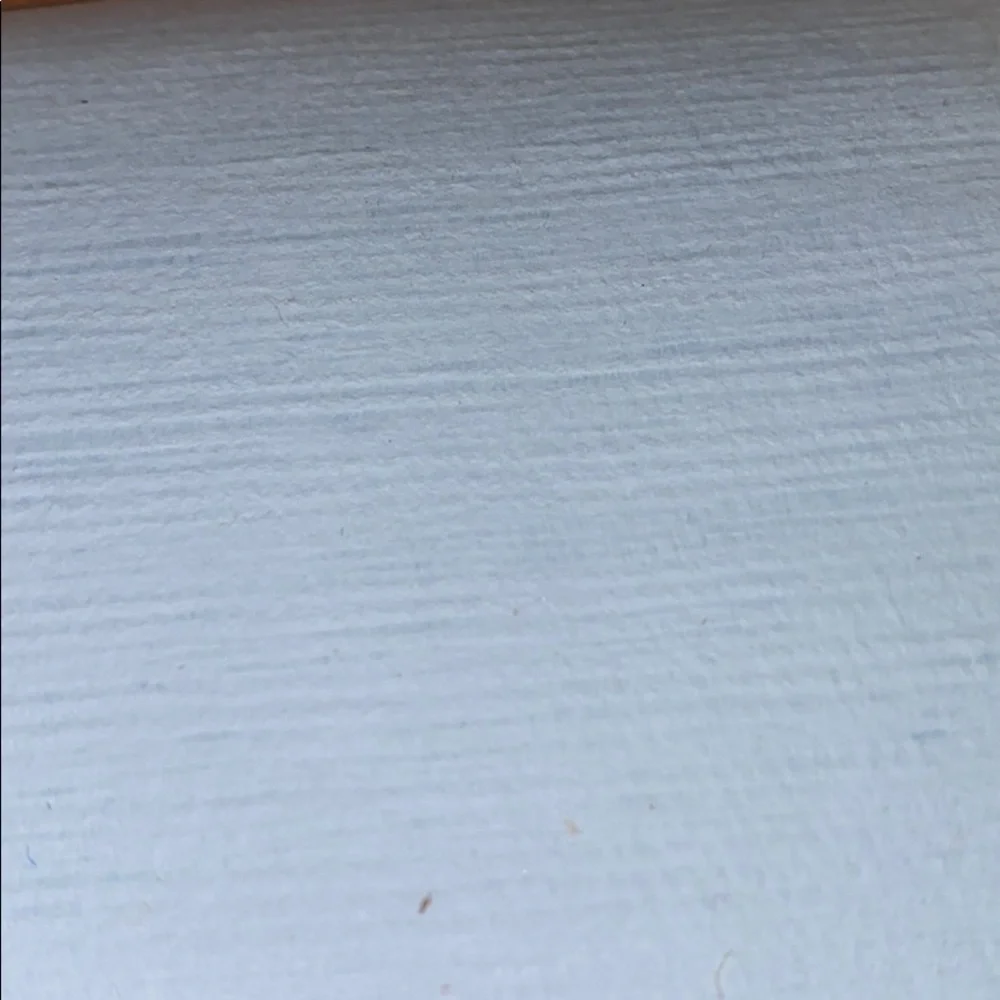~Sri Aurobindo Ashram~ ONE Handmade Paper Booklet
